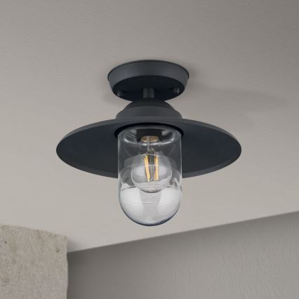 Lampadario da esterno EDWARD 1xE27/60W/230V IP44 nero