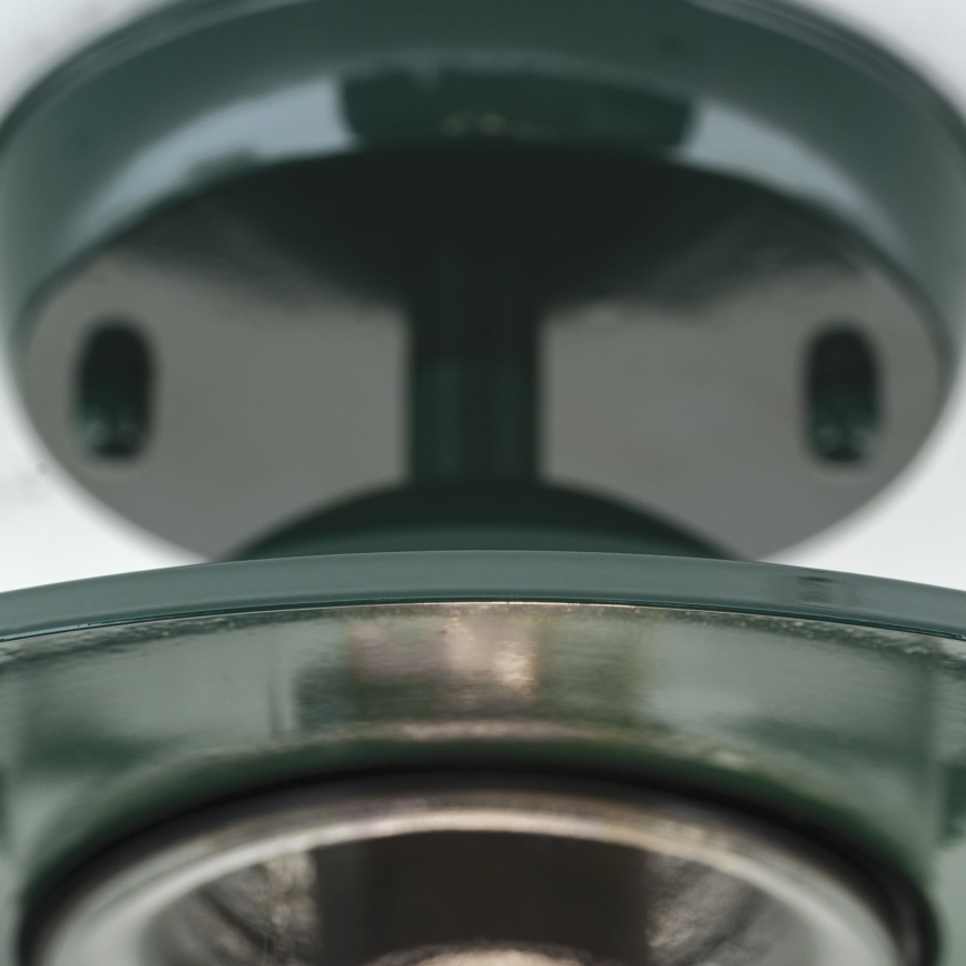 Lampadario da esterno EDWARD 1xE27/60W/230V IP44 verde