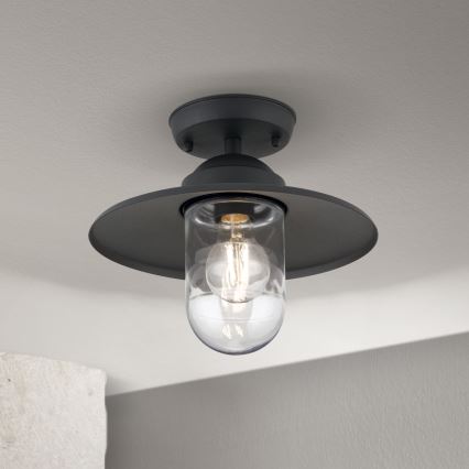 Plafoniera da esterno a soffitto EDWARD 1xE27/60W/230V IP44 antracite