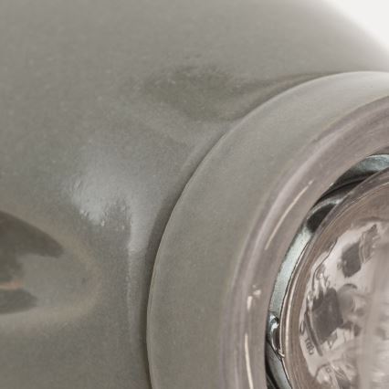 Lampada da parete FROST 1xE27/60W/230V grigia