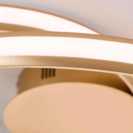 Plafoniera LED dimmerabile CIRCUS LED/30W/230V oro