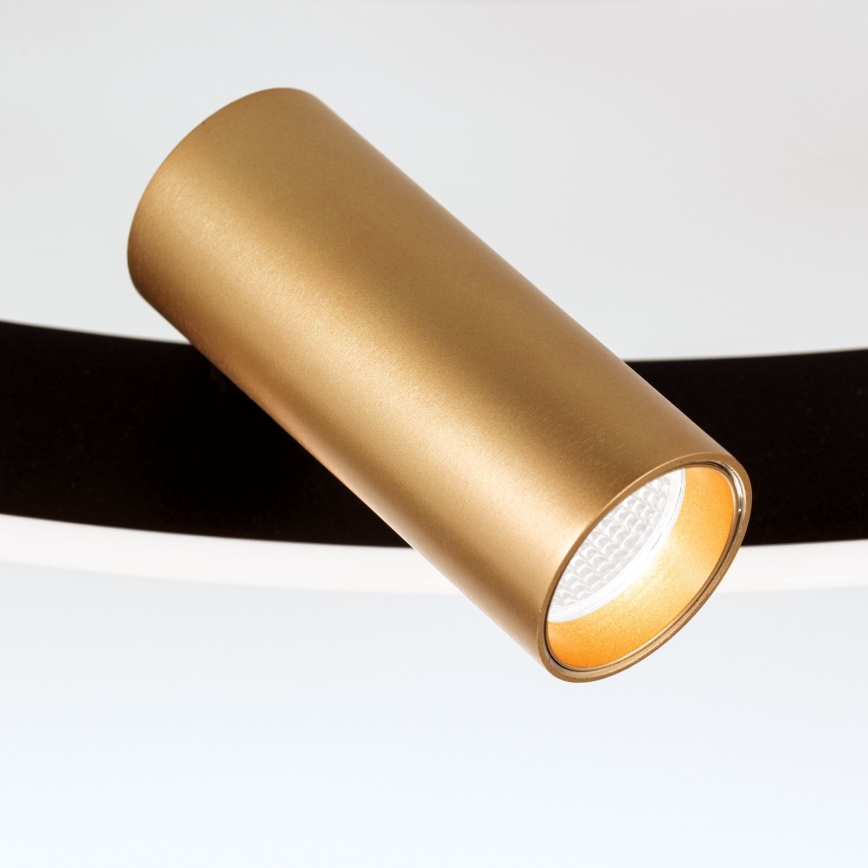 Plafoniera LED dimmerabile BERLIN LED/50W/230V nero/oro
