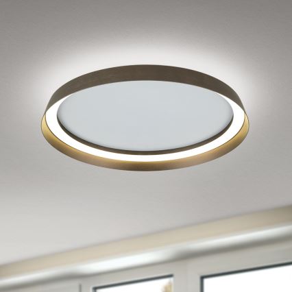 Plafoniera LED dimmerabile MANTA LED/38W/230V 2700/3000/4000K diametro 45 cm marrone