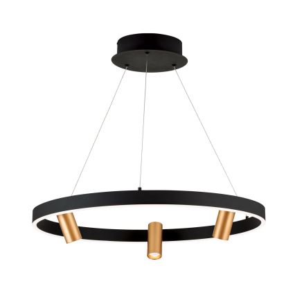 Lampadario a sospensione con filo LED dimmerabile BERLIN LED/50W/230V nero/oro