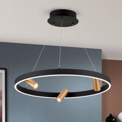 Lampadario a sospensione con filo LED dimmerabile BERLIN LED/50W/230V nero/oro