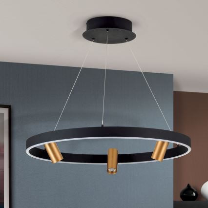 Lampadario a sospensione con filo LED dimmerabile BERLIN LED/50W/230V nero/oro