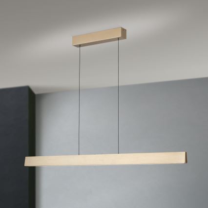 Lampadario a sospensione con filo LED dimmerabile TARA LED/44W/230V 2700/3800/4500/5700K oro