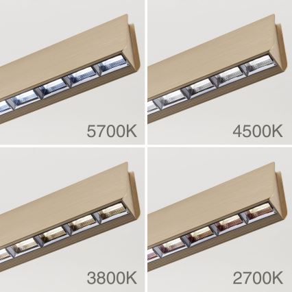 Lampadario a sospensione con filo LED dimmerabile TARA LED/44W/230V 2700/3800/4500/5700K oro