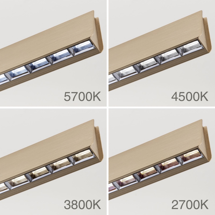 Lampadario a sospensione con filo LED dimmerabile TARA LED/44W/230V 2700/3800/4500/5700K oro