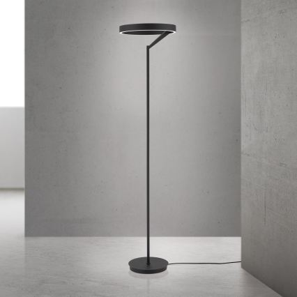 Lampada da terra LED dimmerabile KOLK LED/40W/230V 2700/4000K nera