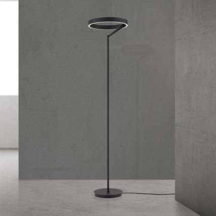 Lampada da terra LED dimmerabile KOLK LED/40W/230V 2700/4000K nera