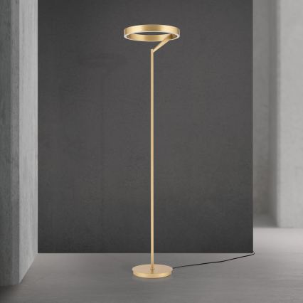 Lampada da terra LED dimmerabile KOLK LED/40W/230V 2700/4000K oro