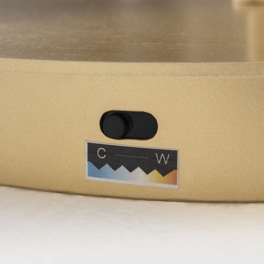 Lampada da terra LED dimmerabile KOLK LED/40W/230V 2700/4000K oro