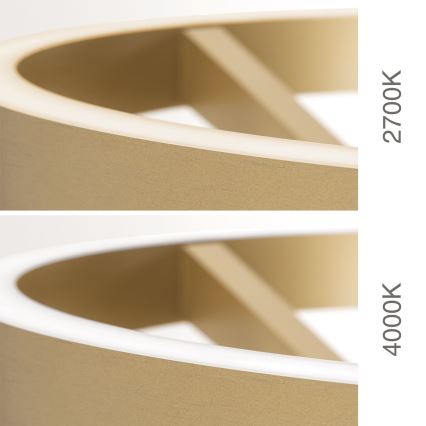 Lampada da terra LED dimmerabile KOLK LED/40W/230V 2700/4000K oro