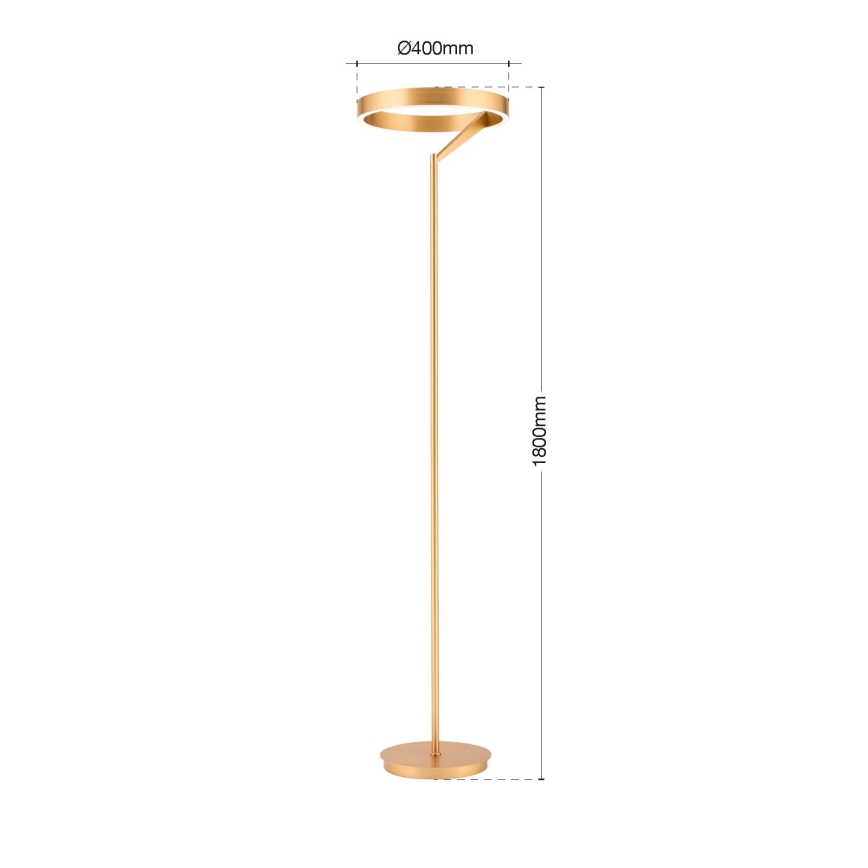 Lampada da terra LED dimmerabile KOLK LED/40W/230V 2700/4000K oro