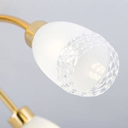 Lampadario a plafone CARLA 5xG9/28W/230V dorato