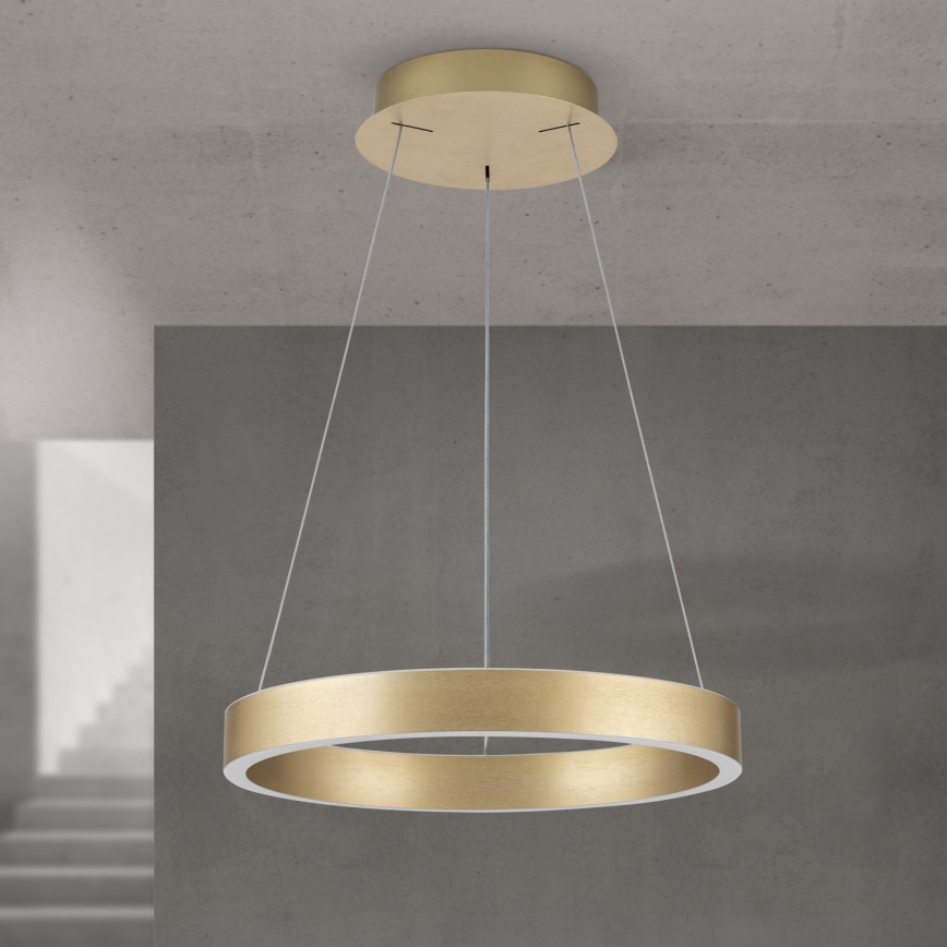 lampadario LED dimmerabile su cavo KOLK LED/40W/230V 2700/3000/4000K diam. 40 cm oro