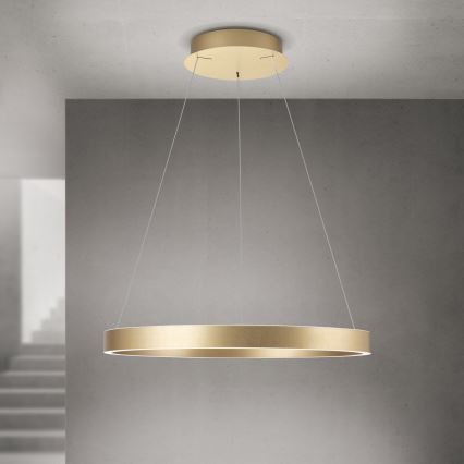 Lampadario LED dimmerabile su cavo KOLK LED/60W/230V 2700/3000/4000K diam. 60 cm dorato