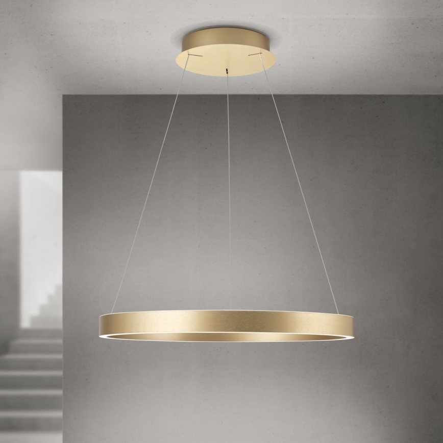 Lampadario LED dimmerabile su cavo KOLK LED/60W/230V 2700/3000/4000K diam. 60 cm dorato