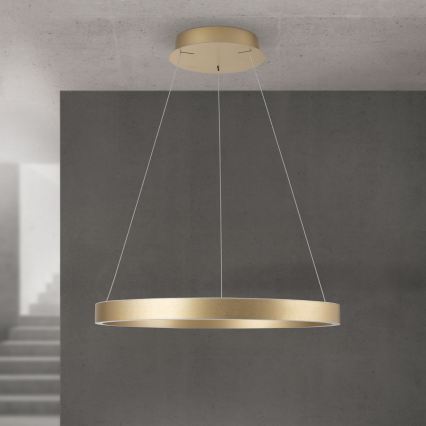 Lampadario LED dimmerabile su cavo KOLK LED/60W/230V 2700/3000/4000K diam. 60 cm dorato