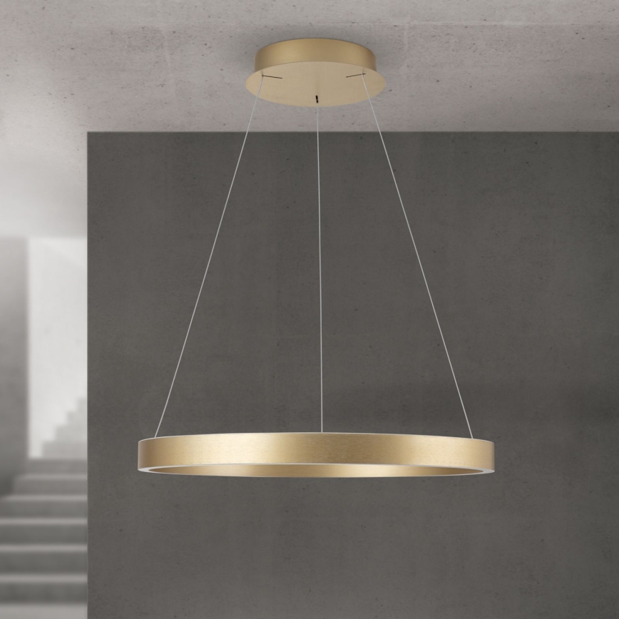 Lampadario LED dimmerabile su cavo KOLK LED/60W/230V 2700/3000/4000K diam. 60 cm dorato