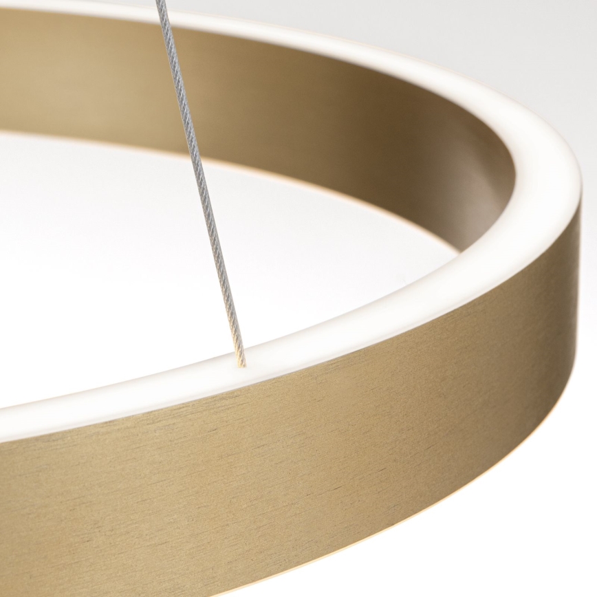 Lampadario LED dimmerabile su cavo KOLK LED/60W/230V 2700/3000/4000K diam. 60 cm dorato