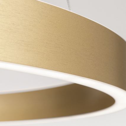 Lampadario LED dimmerabile su cavo KOLK LED/60W/230V 2700/3000/4000K diam. 60 cm dorato