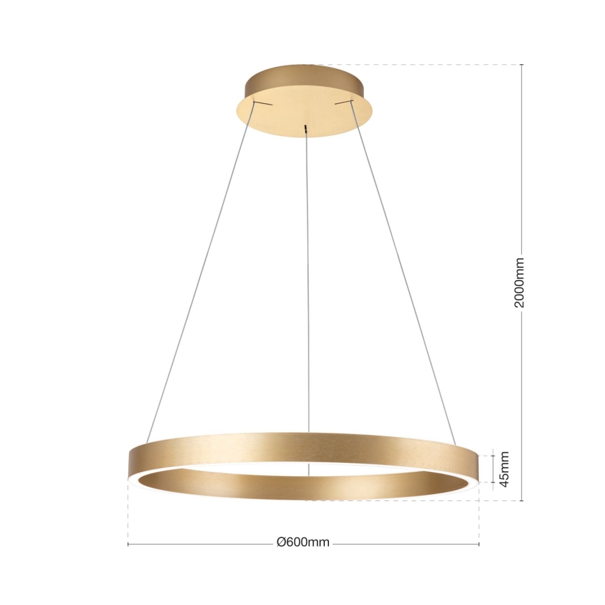 Lampadario LED dimmerabile su cavo KOLK LED/60W/230V 2700/3000/4000K diam. 60 cm dorato