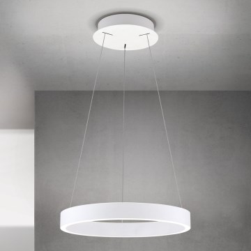 Orion - Lampadario LED dimmerabile a sospensione su cavo KOLK LED/40W/230V 2700/3000/4000K Ø 40 cm bianco