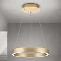 Orion - lampadario LED dimmerabile su cavo KOLK LED/40W/230V 2700/3000/4000K diam. 40 cm oro