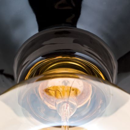 Plafoniera FROST 1xE27/60W/230V nero