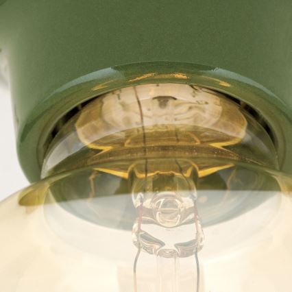 Plafoniera FROST 1xE27/60W/230V verde