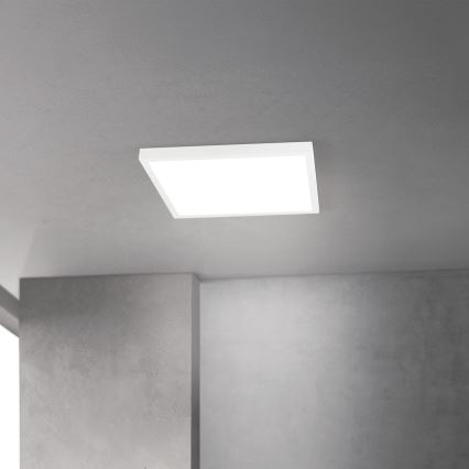 Plafoniera a LED dimmerabile DISC LED/30W/230V 2700/3000/4000K 39x39 cm bianca