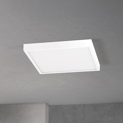 Plafoniera a LED dimmerabile DISC LED/30W/230V 2700/3000/4000K 39x39 cm bianca