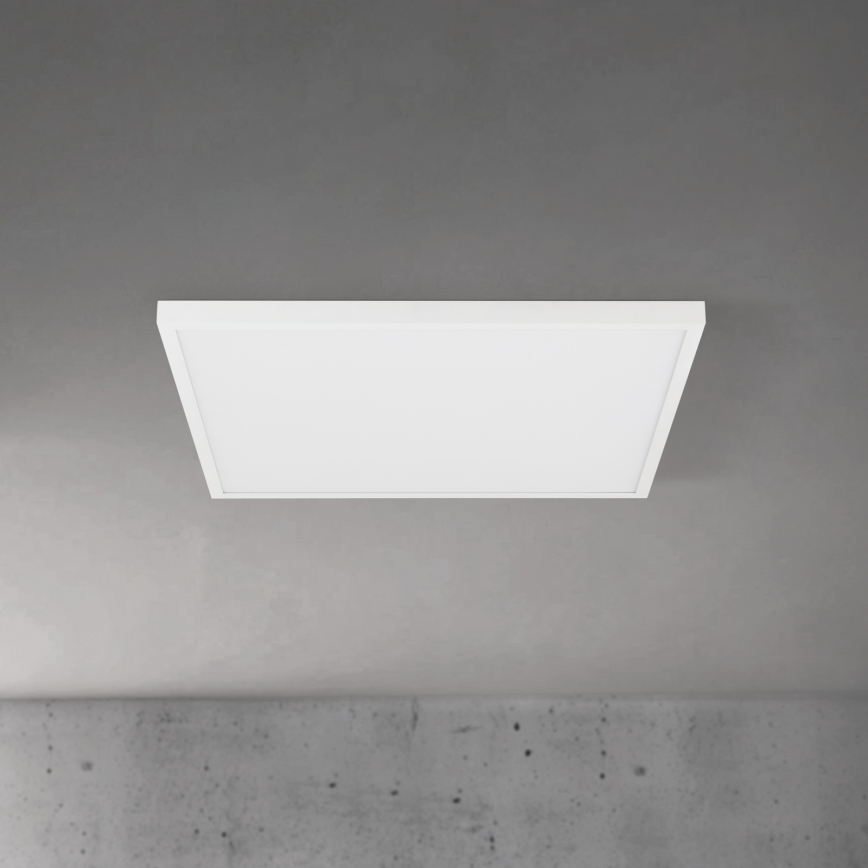 LED Plafoniera da soffitto dimmerabile DISC LED/46W/230V 2700/3000/4000K 59x59 cm bianca