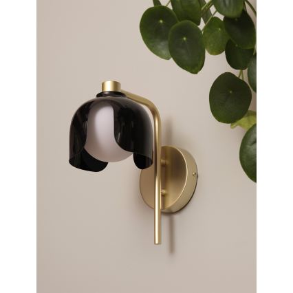 Osram - Applique DECOR COROLLE 1xG9/20W/230V nero/oro