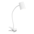 Osram - Lampada da scrivania con morsetto DESK LINE 1xGU10/9W/230V bianca