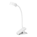 Osram - Lampada da tavolo LED dimmerabile con morsetto OFFICE LINE LED/4,8W/230V 3000/4000/6500K bianca