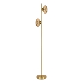 Osram - Lampada da terra GOLD GLASS 2xE14/12W/230V dorata/beige fumé