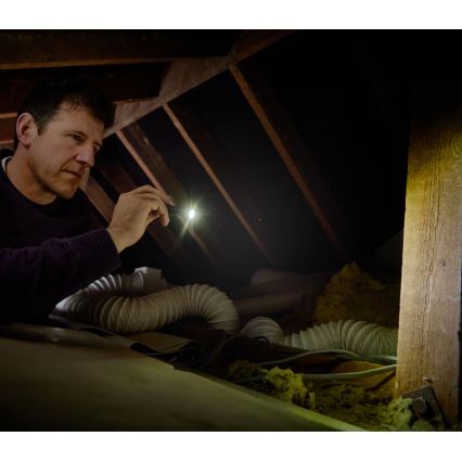 Osram - Torcia LED dimmerabile LEDINSPECT TORCH 250 ESSENTIAL LED/2W/2xAAA IP44