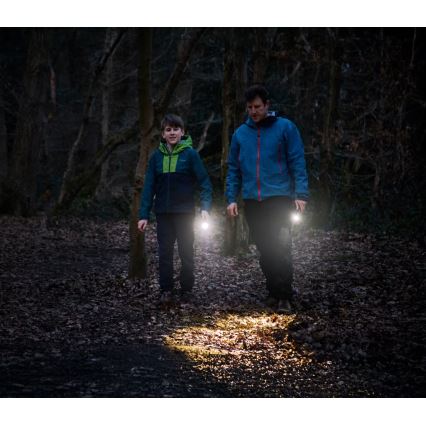 Osram - Torcia dimmerabile a LED LEDINSPECT TORCH 350 ESSENTIAL LED/4W/2xAAA IP44