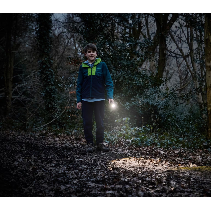 Osram - Torcia dimmerabile a LED LEDINSPECT TORCH 350 ESSENTIAL LED/4W/2xAAA IP44