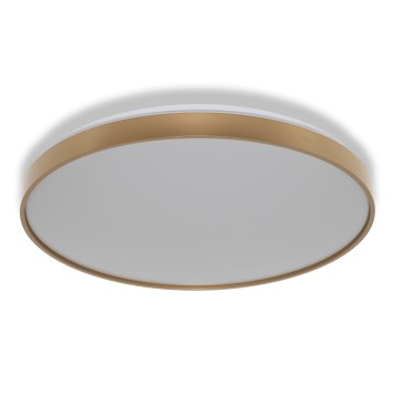 Osram - Plafoniera a LED CEILING LUXO LED/60W/230V Ø 56 cm dorata