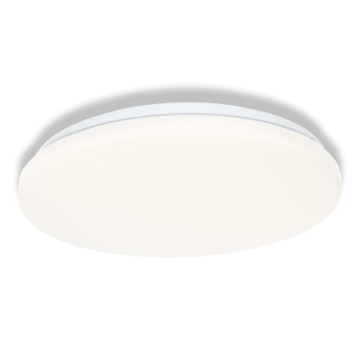 Osram - Plafoniera da bagno LED CEILING ROUND LED/18W/230V 3000K Ø 33 cm IP44 bianca