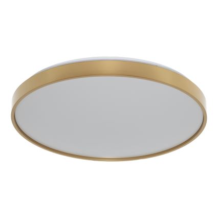 Osram - Plafoniera LED CEILING LUXO LED/36W/230V diam. 49 cm oro