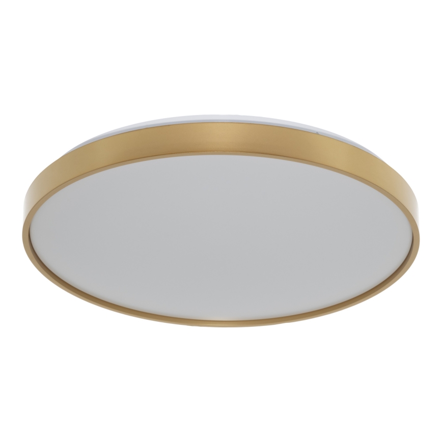 Osram - Plafoniera LED CEILING LUXO LED/36W/230V diam. 49 cm oro
