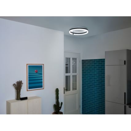 Osram - Plafoniera LED DECOR CIRCLE LED/32W/230V 3000/4000/6500K Ø 50 cm nero/bianco