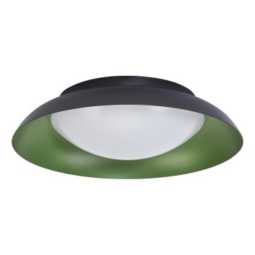 Osram - Plafoniera LED dimmerabile ORBIS PLATE LED/19W/230V Ø 31 cm verde/nero