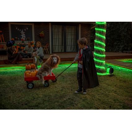 Osram - LED RGB striscia dimmerabile per esterni FLEX 15m LED/100W/230V IP65 + telecomando