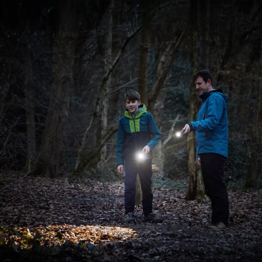 Osram - Torcia LED dimmerabile LEDINSPECT TORCH 450 ESSENTIAL LED/6W/3xAAA IP44